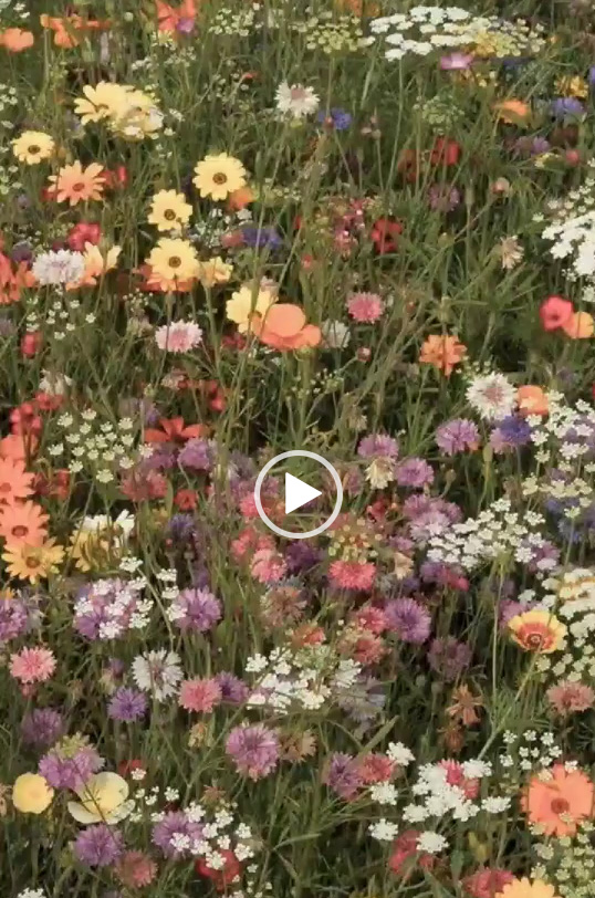 video Milena _ 3_19_2023 3_25_33 PM